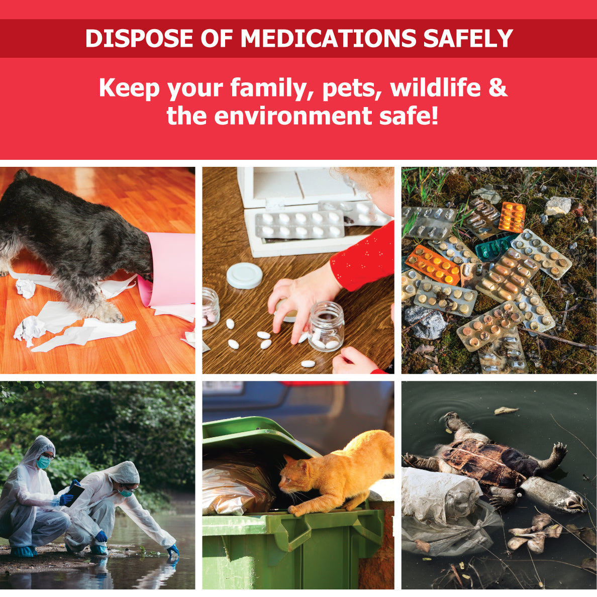 RX Pill Disposal - Small