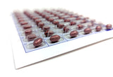 62 Day / 2 Month Pharmacy Pill Blister - 6 Pack