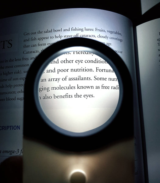 Oval Magnifier with Light